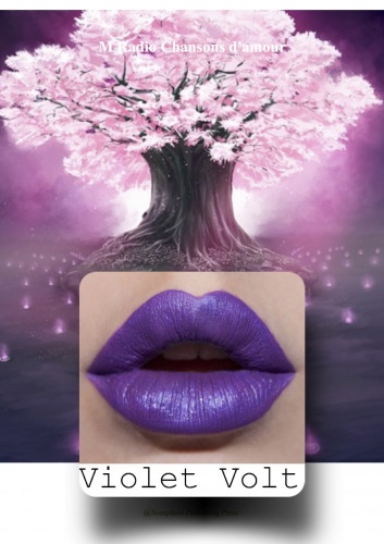 Nosphre : Holistic Education