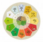 The Seasons of the Year and Astrology - The Archetypal Cycle by Manuel Ignacio Quiles